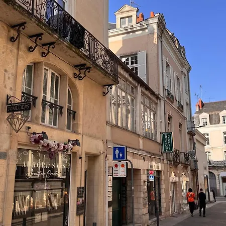 Exceptionnel !! Loft Patrimonial Coeur D Angers
